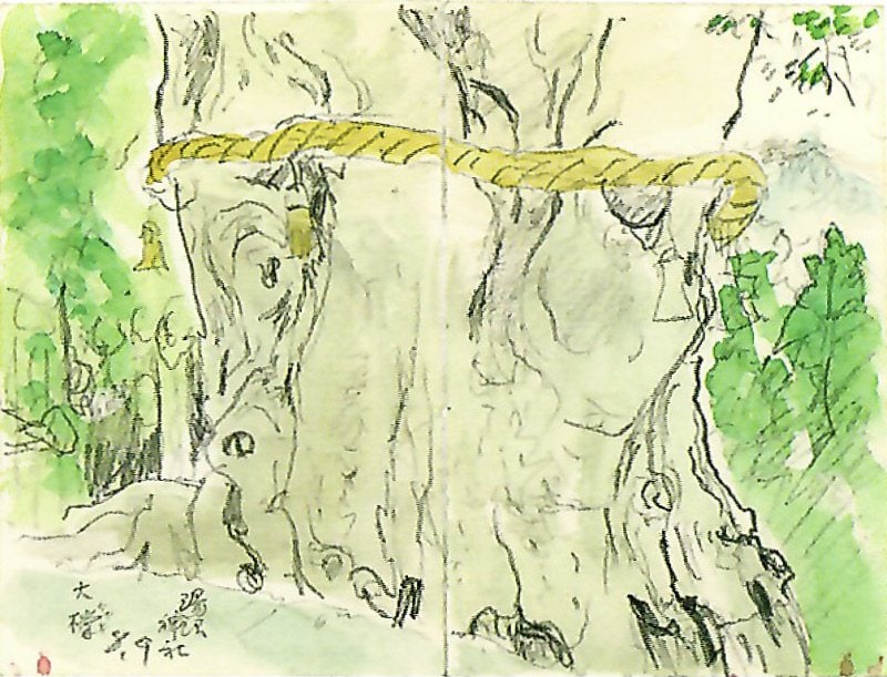 Longevity Celebration, zelkova at Yuzawa Shrine, Nozawa Onsen Village - Image 2